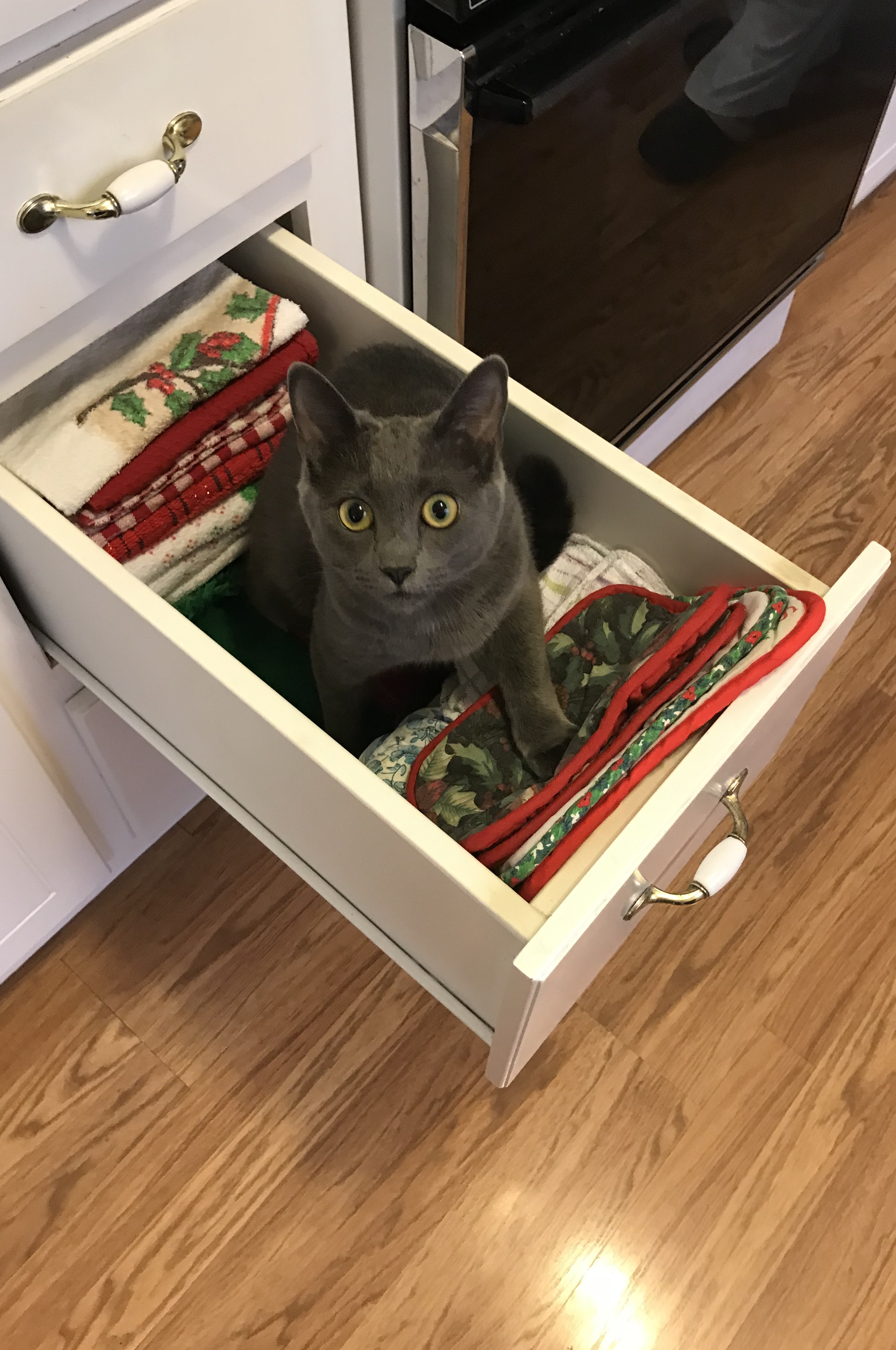 ziva drawer